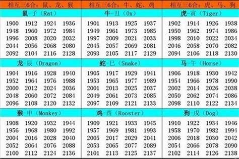 02年生肖|2002年属什么生肖